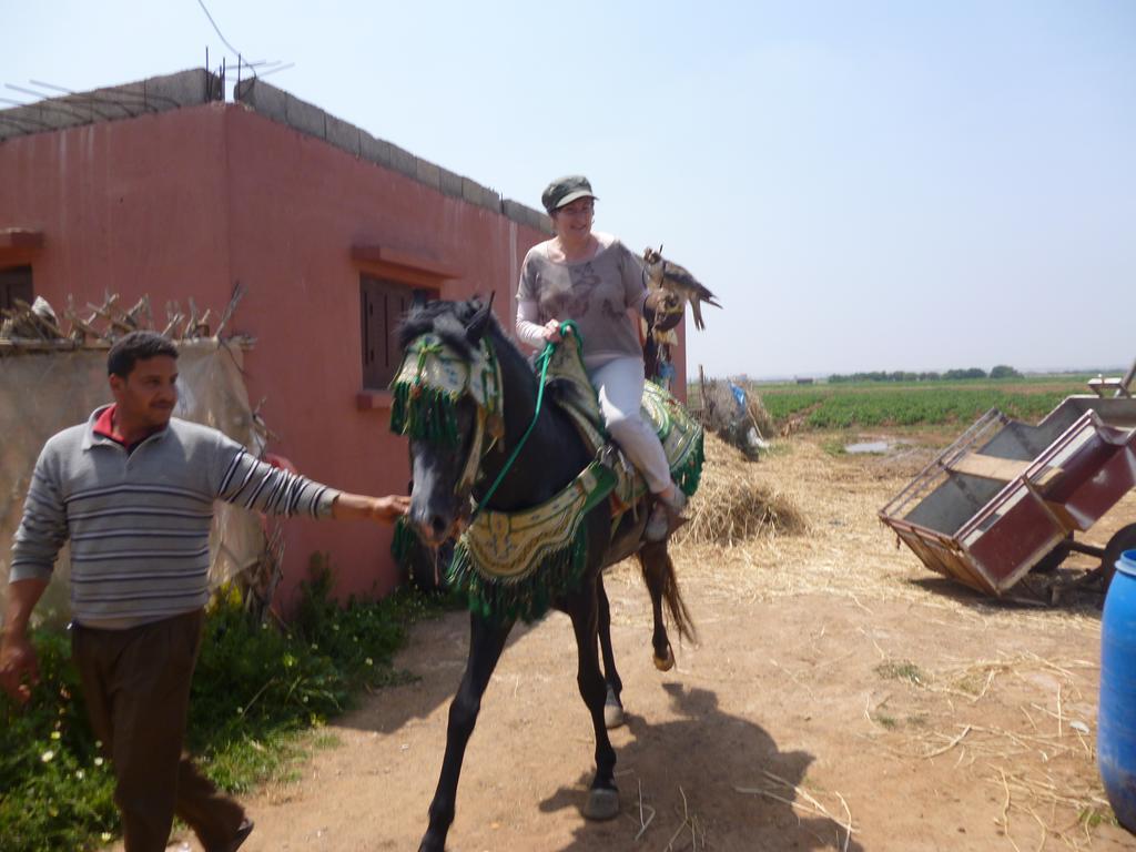Riad Ksar El Jadida Maroc Luaran gambar