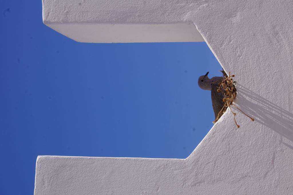 Riad Ksar El Jadida Maroc Luaran gambar